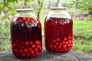 Two jars of red cherry compote, preserved fruit, on a wooden log, organic natural juice in nature