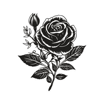 rose, vintage logo concept black and white color, hand drawn illustration