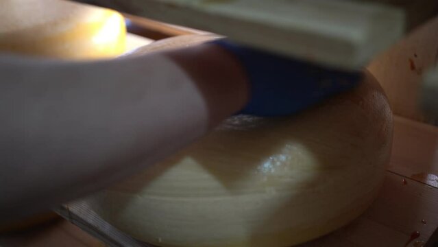 Close-up of male hands rubing cheese wheels with wax at the cheese manufacturing with shelves. Cheese factory in Holland.