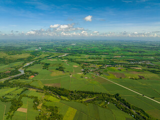Farmland with plantations of sugarcane and agricultural plants. Negros, Philippines
