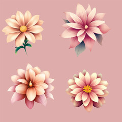 Beautiful floral set vector illustration. different type beautiful set flowers on white background