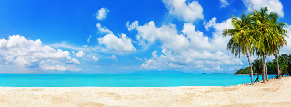 Tropical island sea beach, beautiful paradise nature panorama landscape, coconut palm tree green leaves, turquoise ocean water, blue sky sun white cloud, yellow sand, summer holidays, vacation, travel