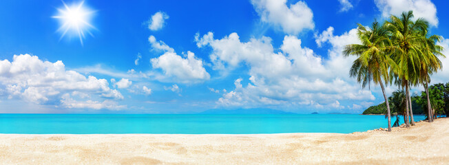 Tropical island sea beach, beautiful paradise nature panorama landscape, coconut palm tree green...