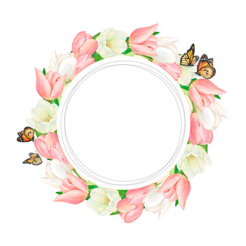 Watercolour wreath of beautiful white and pink tulips and butterflies. 