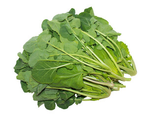 Rapeseed(canola) leafy vegetables isolated on a png background.