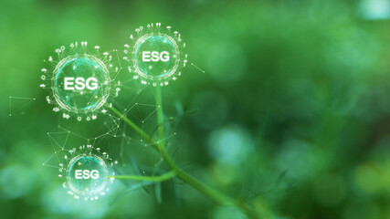 Environment Social and Governance (ESG). A modern investment concept that takes into account the...