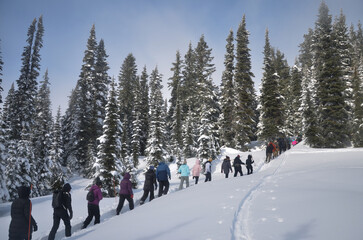 snowshoeing in the mountain