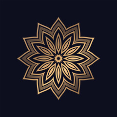 luxury pattern mandala design background