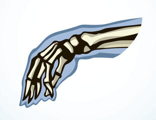Obraz premium Vector drawing. Bones of the hand