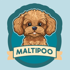 Sticker with little brown maltipoo puppy aka maltese poodle with background