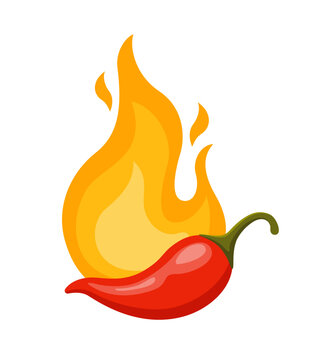 Chili pepper and Fire. Hot burning fire flame and red chili pepper isolated on white background. Vector illustration for restaurant design or spicy food menu.