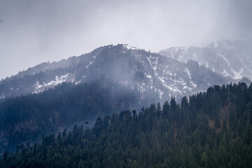Obraz premium fog mist rolling over tree covered mountains in the foreground and snow capped peak in the background in manali himachal pradesh