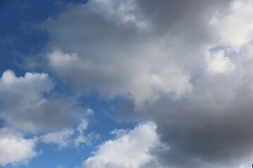 Fototapeta premium Nube
