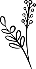 hand-drawn botanical flower and leaves 