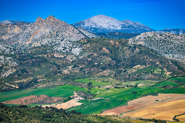 Typical Andalusian landscape near the city of Ronda. - obrazy, fototapety, plakaty