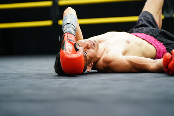 Muay Thai, The martial art of Thailand, The judges must count from one to ten when a boxer is...