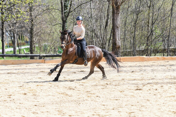Reiterin mit Pferd