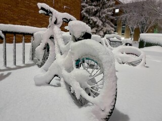 Snow covered bicycle in park
