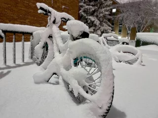 Tuinposter Snow covered bicycle in park © Parker Ketterling/Wirestock Creators