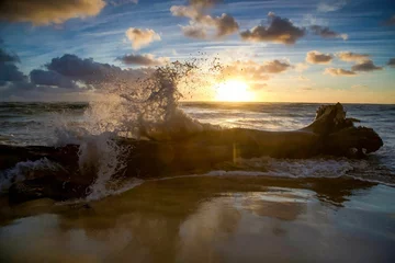 Papier Peint photo autocollant Eau Beautiful view of ocean waves splashing on fallen tree trunk at scenic sunset