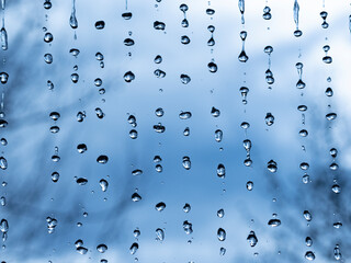 Macro photography of rain, abstract photography