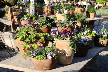 clay planters 