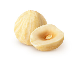Isolated roasted halelnuts. Whole peeled hazelnut and a half isolated on white background with clipping path