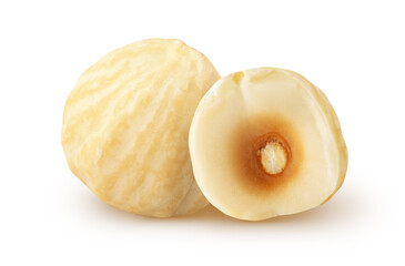 Isolated roasted halelnuts. Whole peeled hazelnut with half isolated on white background with clipping path
