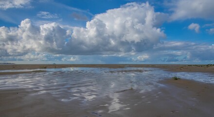 Fototapeta na wymiar Coast of the sea at low tide against a cloudy sky