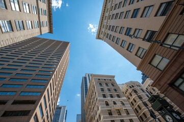 Fototapeta premium Low-angle shot of modern buildings on a sunny day