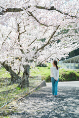 桜と女性