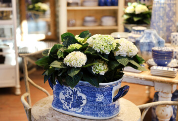 hydrangea table decor