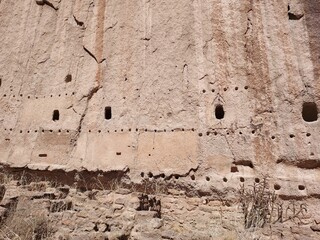 Dry plants against wall of rough stony mountain under sunlight in a canyon