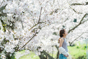 桜と女性