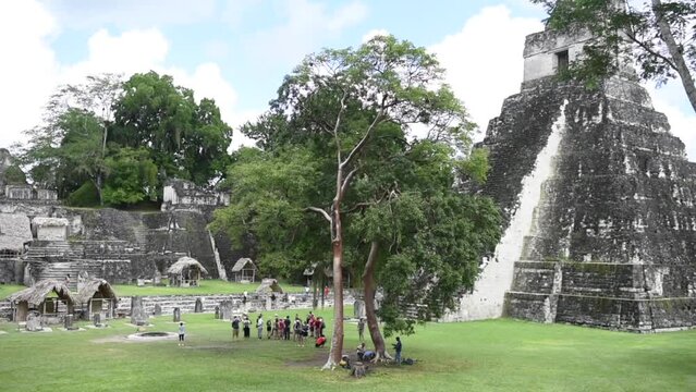 Tikal Pyramids in Guatemala Tikal National Park. Mayan Ruins, Temple, Maya Flores Peten.
