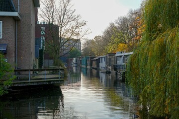 Fototapeta na wymiar Floating houses in the canals of Amsterdam in the Netherlands with colorful trees around them