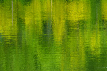 ripples water with reflection of the nature