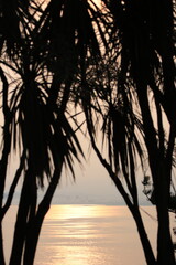 夕焼けの海とヤシの木