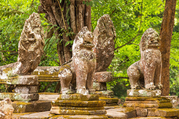 Fototapeta na wymiar Guardian lions Prasat Tao standing on Terrace of Ta Prohm temple, Angkor, Cambodia