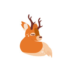 deer baby pose illustration