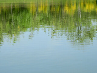 Fototapeta na wymiar view of water reflection of tree with blue sky background
