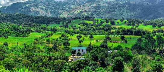 Fototapeta na wymiar Panoramic view of a green field in a mountainous landscape