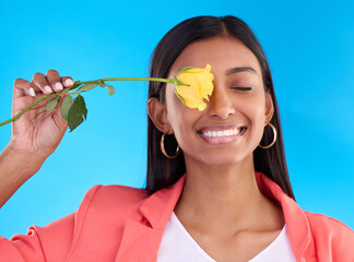 Happy, smile and woman with a flower in studio for a floral gift for valentines day or anniversary. Happiness, excited and Indian female model with yellow rose as present isolated by blue background.