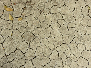 Cracks in the dry ground texture