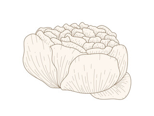 Luxury gold peonies. Trendy botanical elements. Hand drawn line leaves branches and blooming. Flower line art design for prints,, wall arts, greeting card, invitation and wedding cards.	
