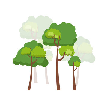 Green trees flat vector illustration. Beautiful green leaves isolated on white