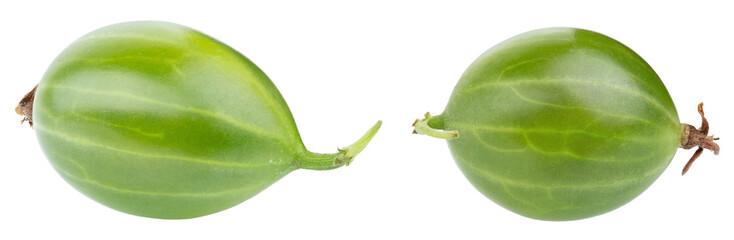 Gooseberry isolated on white background. Green summer berries. Fresh ripe gooseberry.