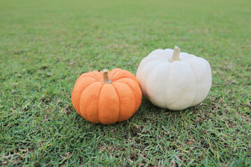 the pumpkins on grass. great image for Fall