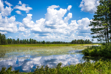 Obraz na płótnie Canvas A view from Seney National Wildlife Refuge in Michigan's Upper Peninsula