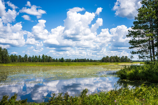A view from Seney National Wildlife Refuge in Michigan's Upper Peninsula